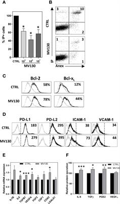 Involvement of Mesenchymal Stem Cells in Oral Mucosal Bacterial Immunotherapy